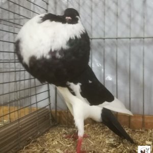 Aus Minigallerie
