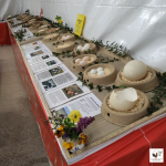 Eierausstellung